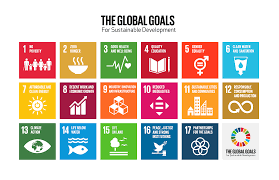 AI and Legal Frameworks for Sustainable Development: What Practitioners Say