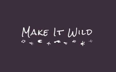 Make It Wild
